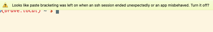 iTerm2 warning about paste bracketing